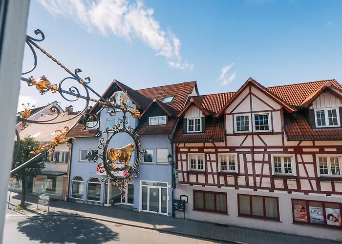 Ochsen - Smart Stockach